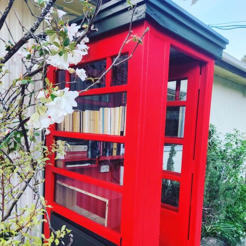 Camp book exchange