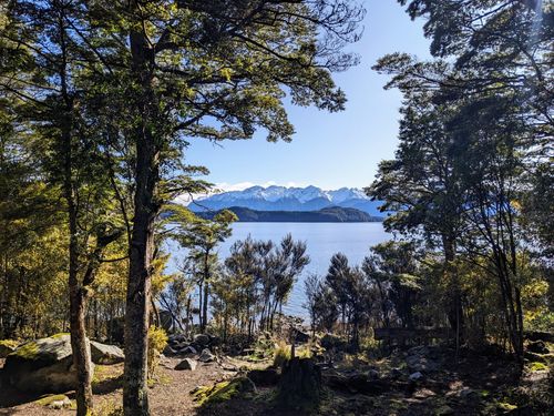 View of the lake through the trees